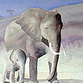 Elephant Family