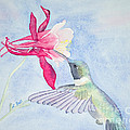 Hummingbird and Columbine