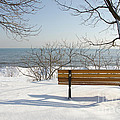 Waiting For Spring