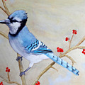 Blue Jay